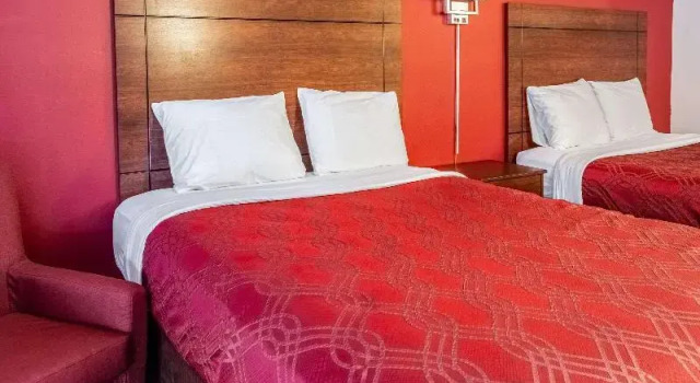 Номер Standard High Desert Inn