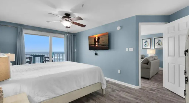 The Palms #501