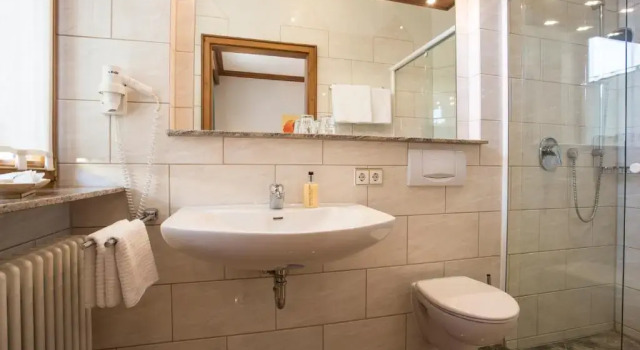 Номер Economy Meiser Rosenstuben Hotel
