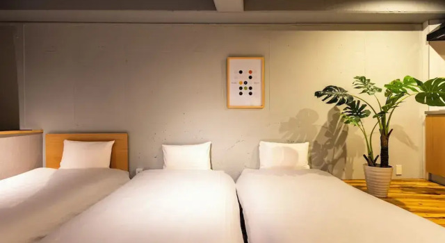 Номер Deluxe e-stay namba