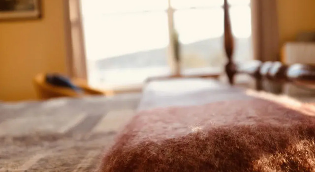 Номер Superior The Bread and Cheese Country Inn