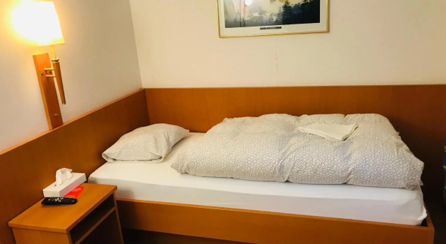 Номер Economy Parkhotel Bellevue Budget