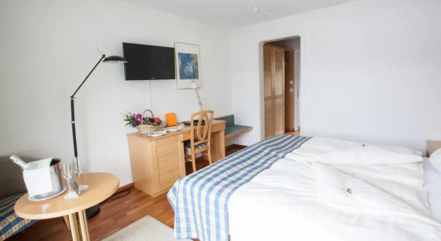 Двухместный номер Standard Garni Hotel Frohburg