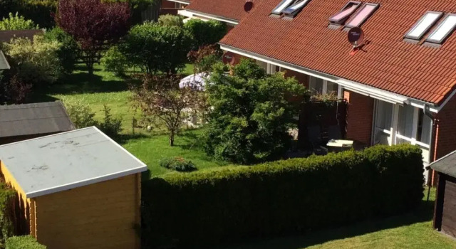 Amselpark - 38542