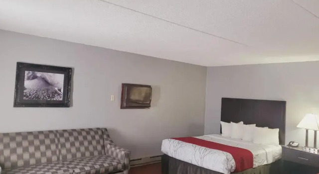 Четырёхместный номер Executive Blackstone Lodge and Suites