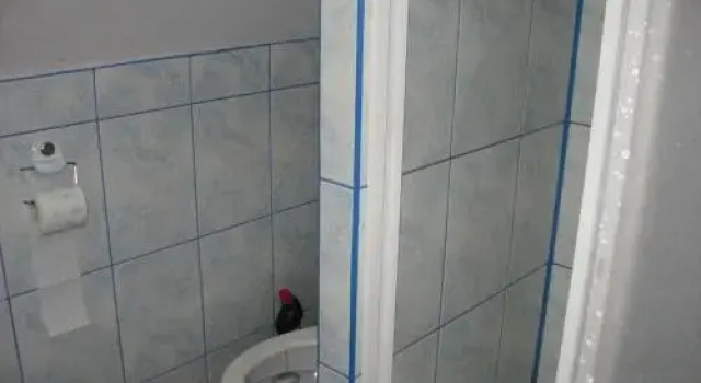 Pokoje Gościnne Szpak
