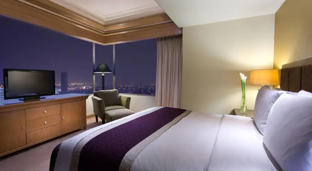 Люкс Executive Le Grandeur Mangga Dua