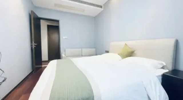 Люкс Grand Suzhou lofty and beauty Apartment