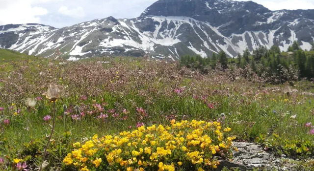 Rifugio Ca Runcasch