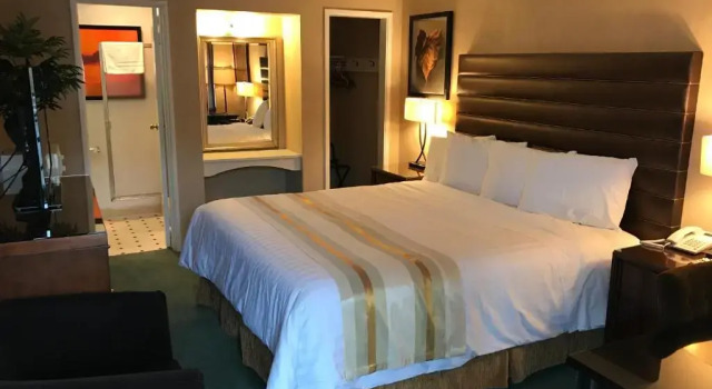 Standard- værelse Discovery Inn