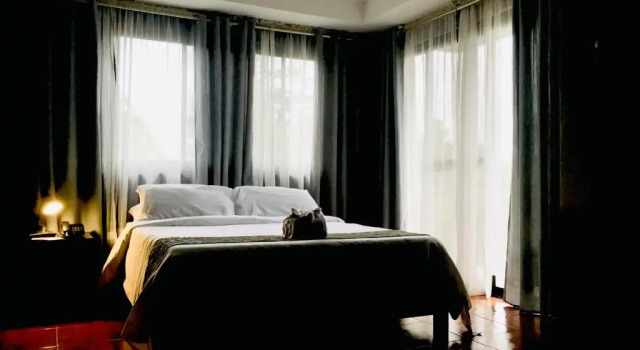 Supérieure double chambre Rangya Hotel