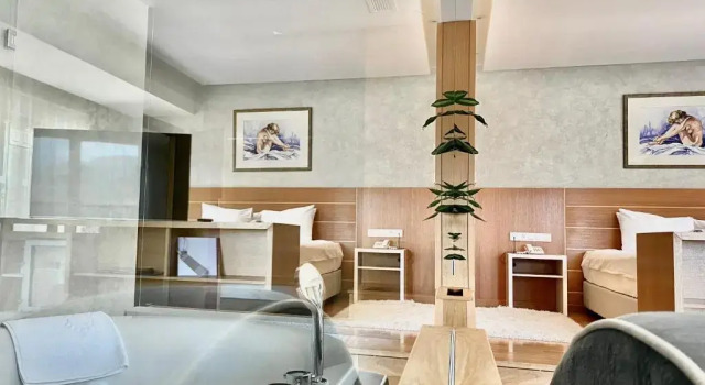 Люкс Deluxe Hotel Bellevue