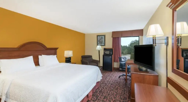 Номер Standard Hamilton Inn Birmingham-Bessemer
