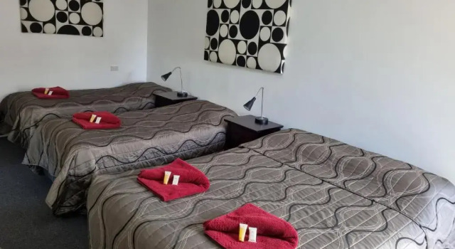 Люкс Taree Lodge Motel