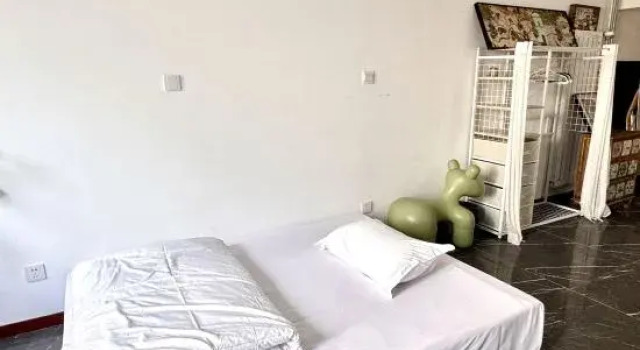 Люкс Classic Vivi's childhood  hotel
