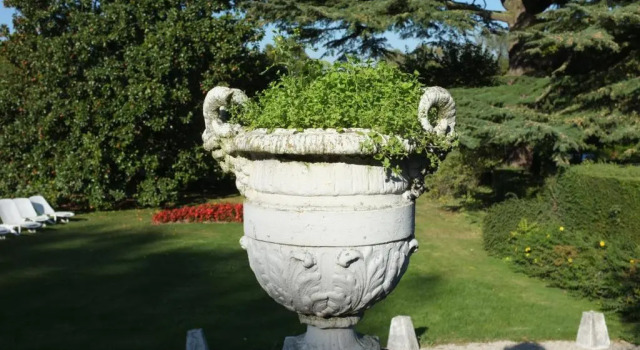 Номер Standard с видом на сад Château de Beaulieu et Magnolia Spa, The Originals Relais