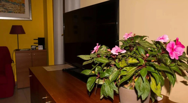 Апартаменты Cozy Penthouse Holiday House