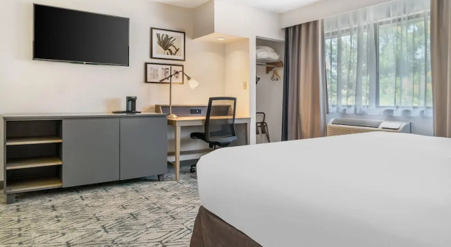 Номер Premium Country Inn & Suites by Radisson, Frederick, MD