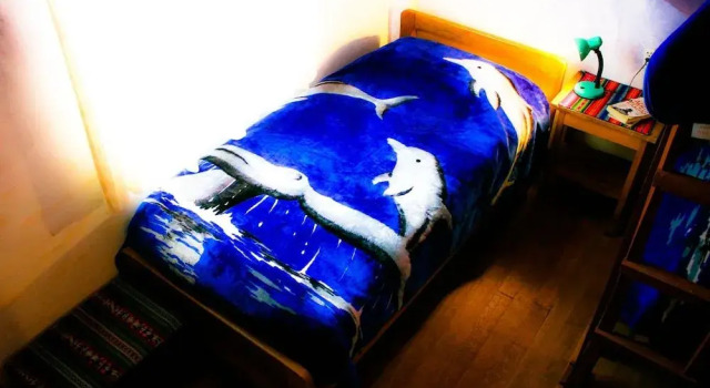Hostal Joshua, Boek Hotel Copacabana La Paz Region