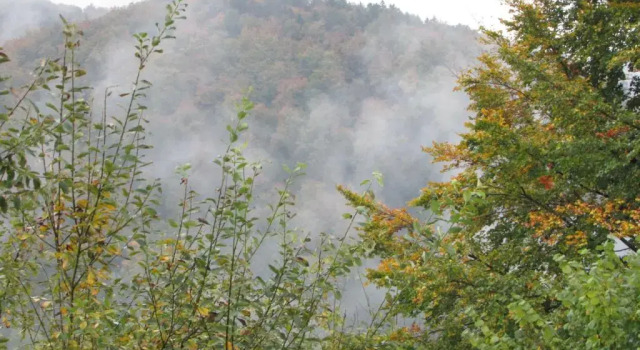 Апартаменты FeWo Harz Haennig 1