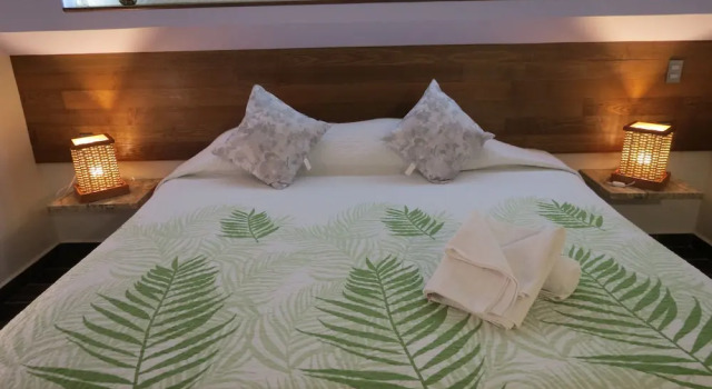 Standard suite Hotel Posada Comala