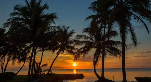 Бунгало Costa de Cocos Xcalak