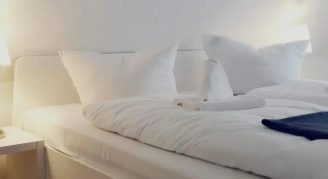 Апартаменты Дуплекс Hotel Lindenhof Bad Schandau