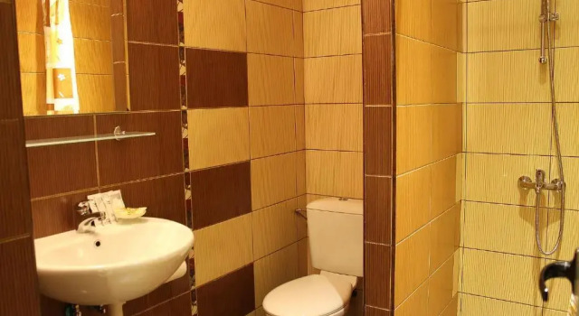 Номер Standard Hotel Diplomat Park