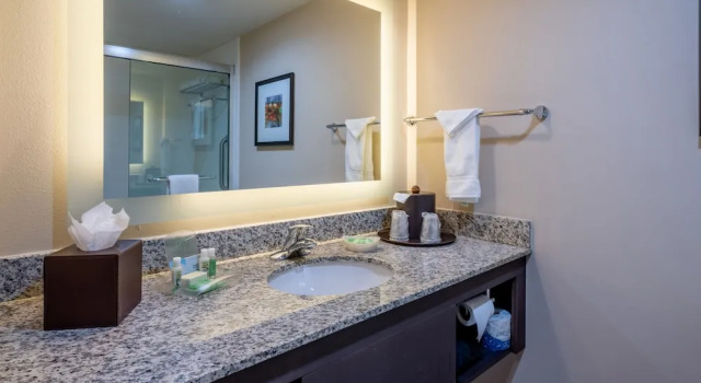 Четырёхместный номер Premium Holiday Inn Murfreesboro by IHG