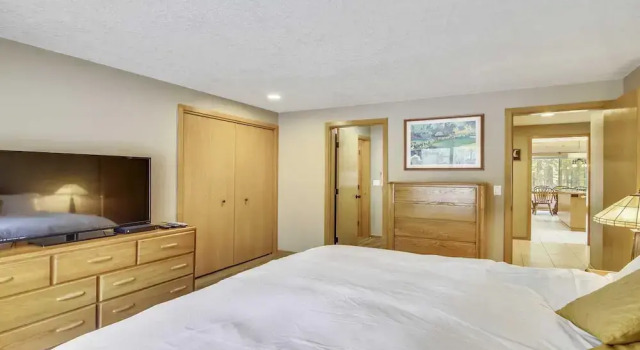 Conifer 10
