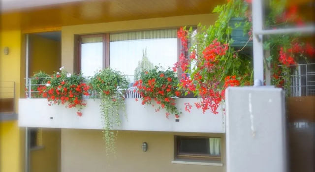 Les Loges Du Ried, Book Hotel Hotels in Alsace with Parking, Parking