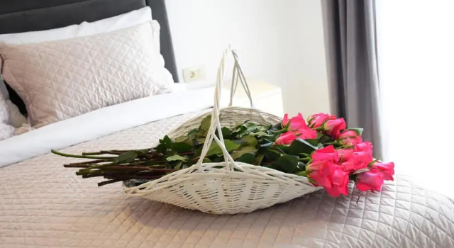 Apartments Petar