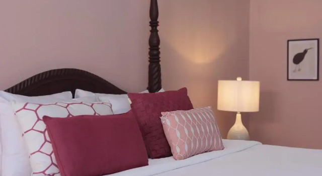 Полулюкс Kura Botanica Hotel