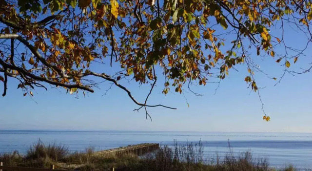 Sandskogens Camping & Stugor, Book Campground Ystad 