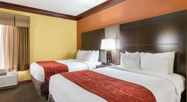 Четырёхместный номер Standard Comfort Suites Lake Jackson Clute