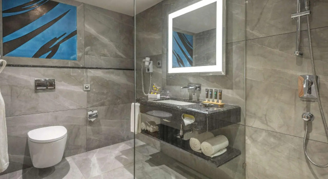 Двухместный номер Premier Novotel Vijayawada Varun