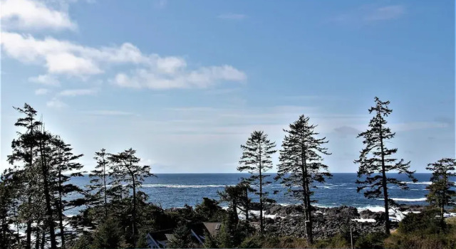 The Haida Way, Забронировать Апартаменты/квартира Апартаменты Уклуэлет, рядом с Huu-Mees-Ma-As Native Art Gallery, Апартаменты/квартира
