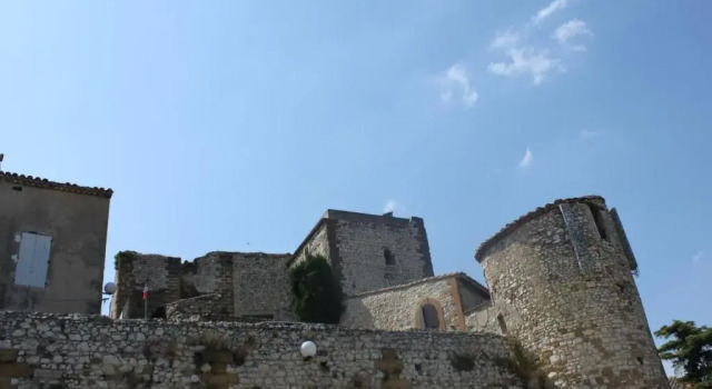 Номер Standard Château de Vedène