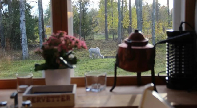 Norrängens Alpacka - Bed & Breakfast, Reservar Hotel Hotéis SPA em Mälaren, SPA