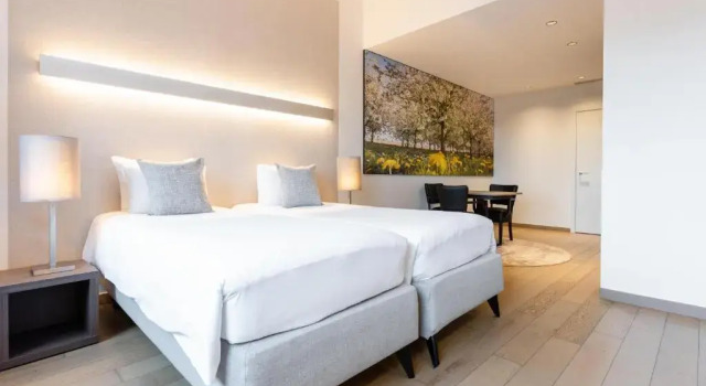 Двухместный номер Comfort Hotel Stayen