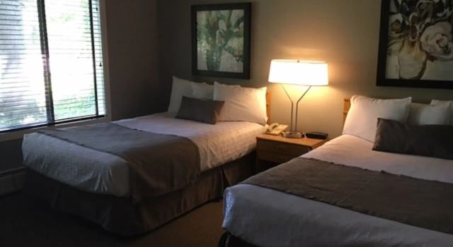 North Star Lodge and Resort