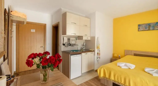 Студия с видом на море Apartments Viktoria