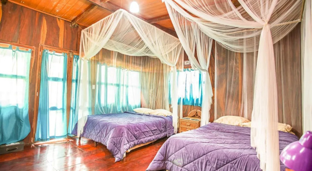 Номер Deluxe Redwood Beach Resort