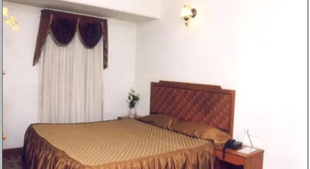Номер Deluxe Aditi Hotel