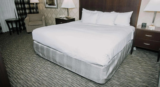 Двухместный номер Standard DoubleTree by Hilton Dearborn