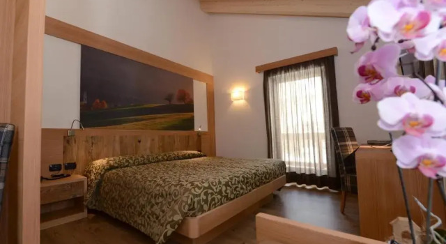 Номер Superior Hotel Alpino
