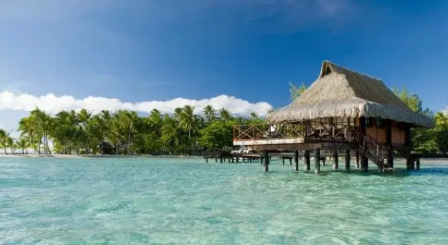 Vahine Island, Book Hotel Tahaa Fransk Polynesien