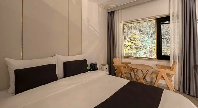 Standard dublă cameră cu vedere la munte Denbasta Forest Hotel