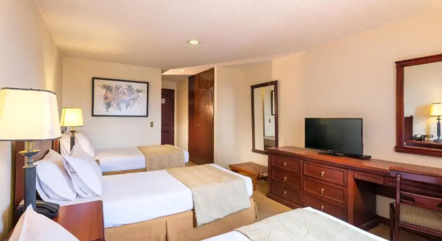 Трёхместный номер Standard Hotel Dann Avenida 19 Bogota