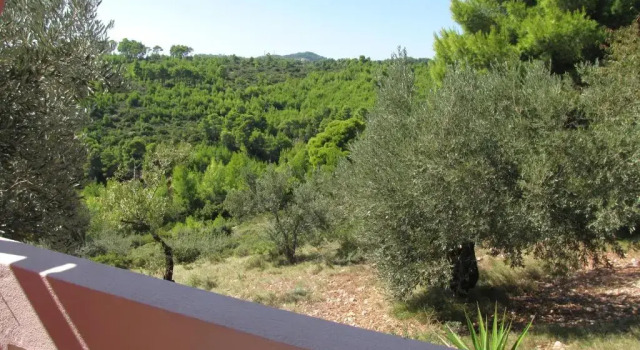 Elia house 1 astoning sea view among the olive trees, Забронировать Отель Патитирион Алонисос